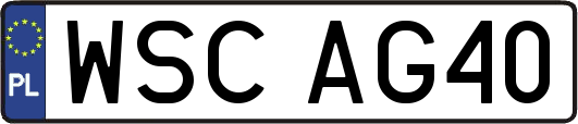 WSCAG40