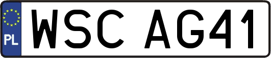 WSCAG41
