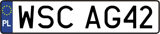 WSCAG42