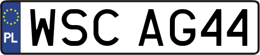 WSCAG44