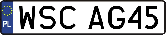 WSCAG45