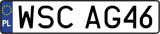 WSCAG46