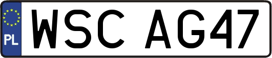 WSCAG47