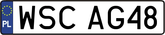 WSCAG48