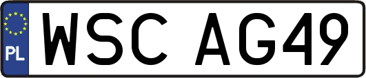 WSCAG49