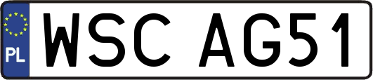 WSCAG51