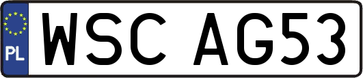 WSCAG53