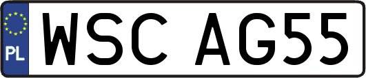 WSCAG55