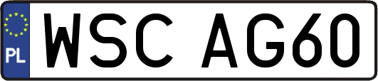 WSCAG60