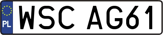 WSCAG61