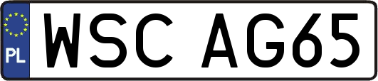 WSCAG65