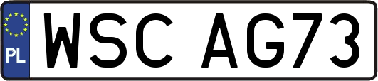 WSCAG73