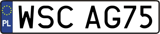 WSCAG75