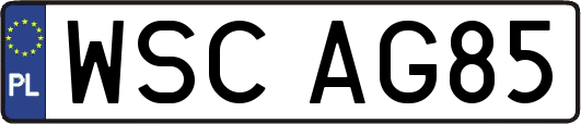WSCAG85