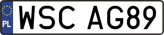 WSCAG89