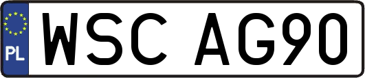 WSCAG90