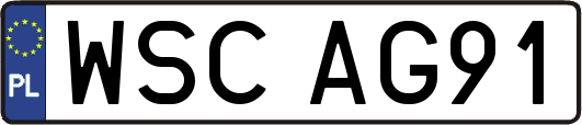 WSCAG91