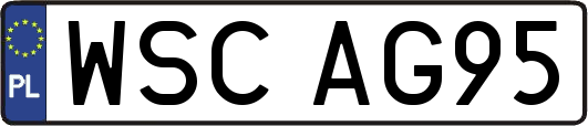 WSCAG95