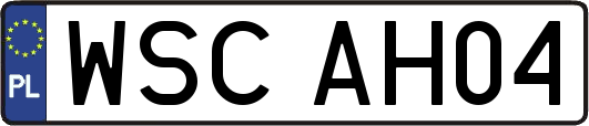 WSCAH04