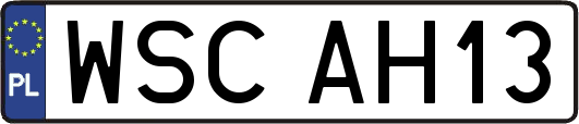 WSCAH13