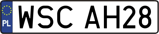 WSCAH28