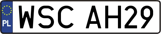 WSCAH29
