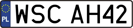WSCAH42