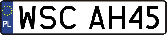 WSCAH45