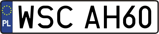 WSCAH60