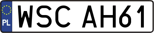 WSCAH61