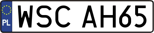 WSCAH65