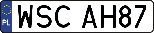 WSCAH87