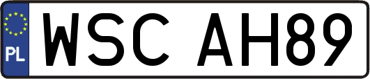 WSCAH89