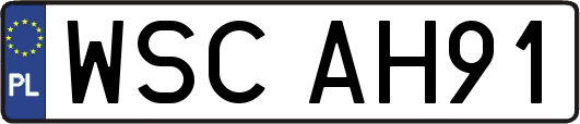 WSCAH91