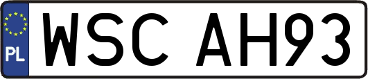 WSCAH93