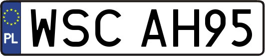 WSCAH95
