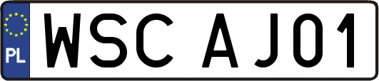 WSCAJ01