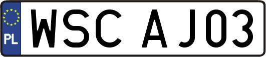 WSCAJ03