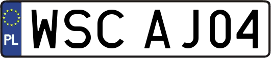 WSCAJ04