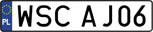 WSCAJ06