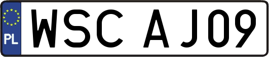 WSCAJ09