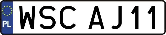 WSCAJ11