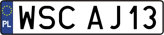 WSCAJ13