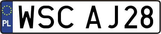 WSCAJ28