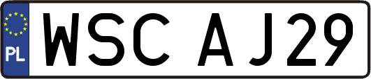 WSCAJ29