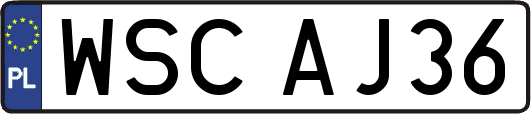 WSCAJ36