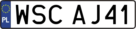 WSCAJ41