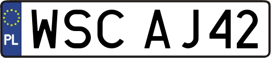 WSCAJ42