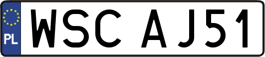 WSCAJ51