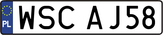 WSCAJ58